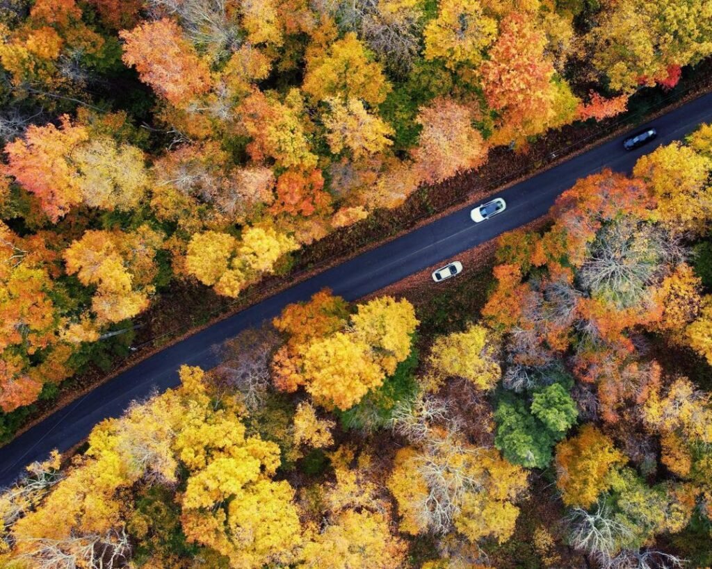 Quiet Stops Off Route 209 in the Poconos 30