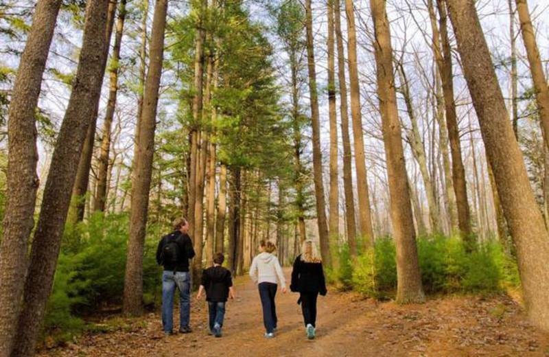 Family-Friendly Hidden Gems in the Poconos 50